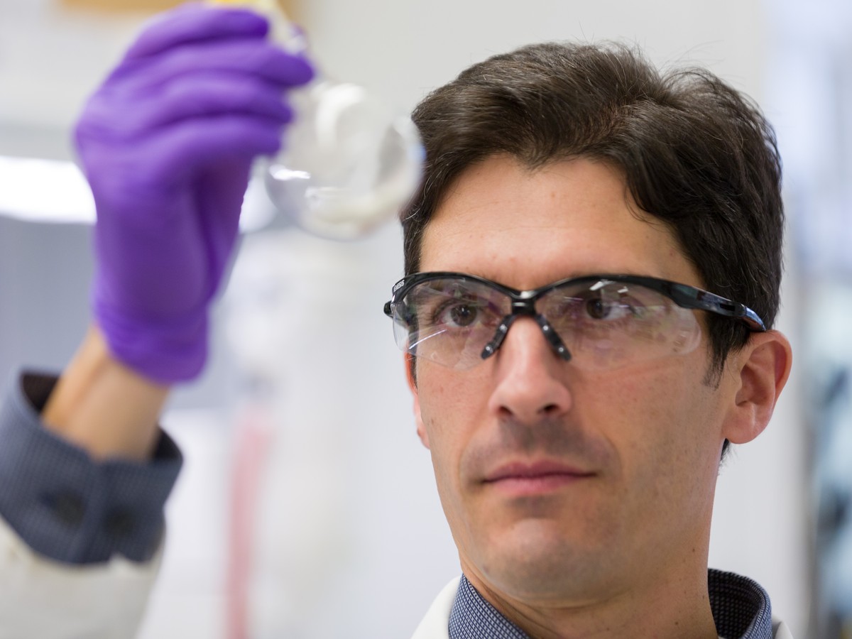 Liquid Culture Dynamics & Assay Kinetics